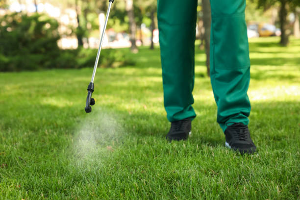 Best Mosquito Control Services  in White Oak, MS