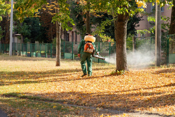 Best Cockroach Control Services  in White Oak, MS